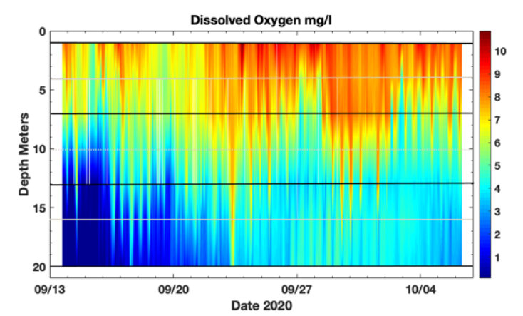 Dissolved Oxygen plot