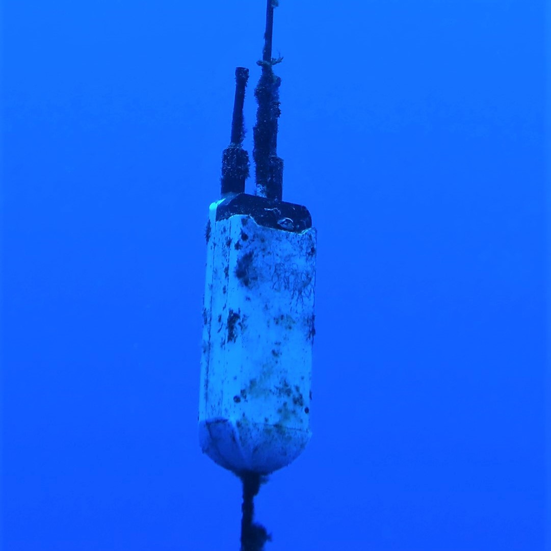 Inductive Mooring Innovations Enable Cost-Effective Coral Reef Monitoring